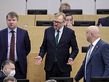 Жизнь и идеи депутата Милонова