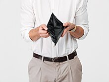 Миронов назвал способ выплатить долги по зарплатам