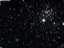 Три новых звезды открыл астроном из Приморья