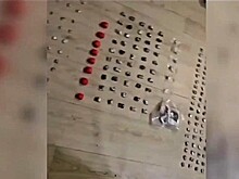 Крупная партия гашиша изъята в Сочи: задержан томский «наркодилер»