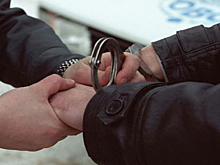 Житель воронежского села лишился свободы на 16 лет за убийство 86-летней старушки