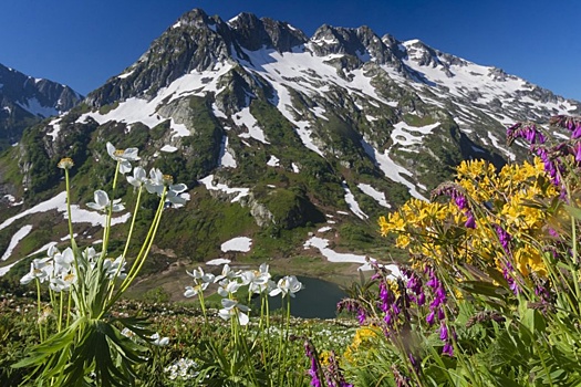Развитие экологического туризма на Кубани получит новый импульс