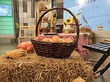 26 октября СОВА проведет телемарафон "По осени считаем"