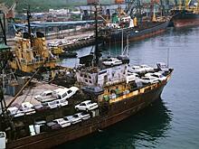 Японские авто с пониженной пошлиной: правительство рассмотрело законопроект