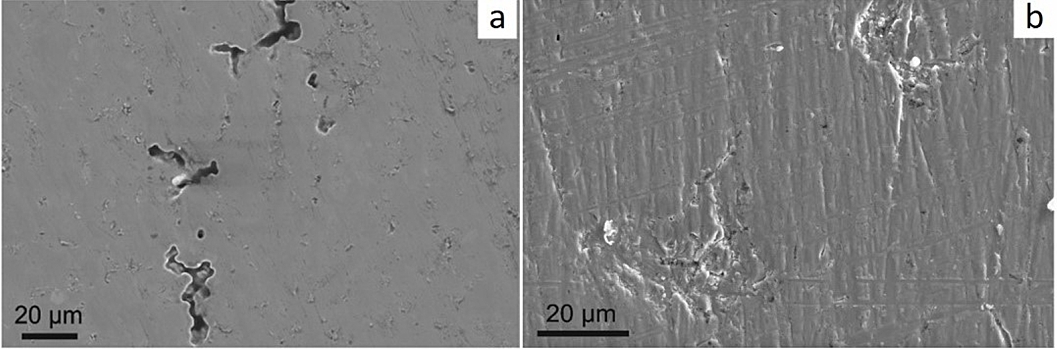 Обработка ниобием в семь раз повысила устойчивость многокомпонентного сплава к химическому разрушению