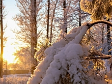 Сильнейший снегопад обрушится на Приморье: объявлено штормовое предупреждение