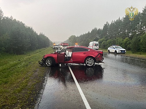 ДТП с четырьмя погибшими в Нижегородской области закончилось судом