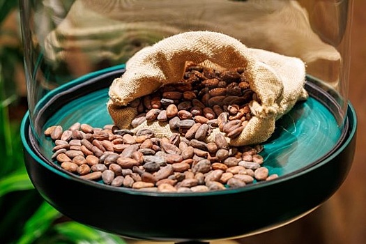 Всемирный день шоколада: дата, история праздника, как отмечают