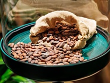 Всемирный день шоколада: дата, история праздника, как отмечают