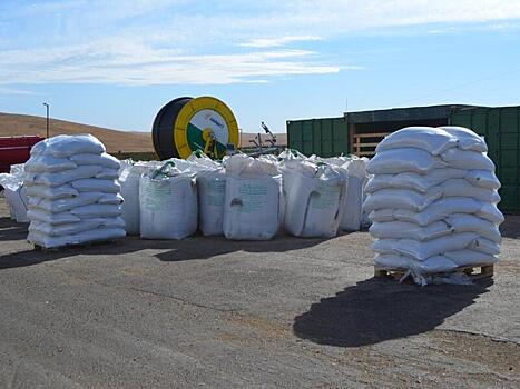 Пять миллионов тонн зерна поступит из России в Китай через Забайкальск
