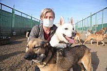 В Кожуховском приюте собаке сделали две пластические операции