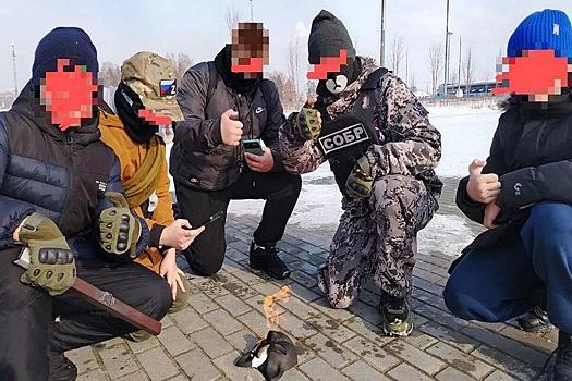 В Новосибирске проверяют информацию о нападении школьников на квадробера