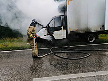 В Самарской области после ДТП загорелась "Газель"
