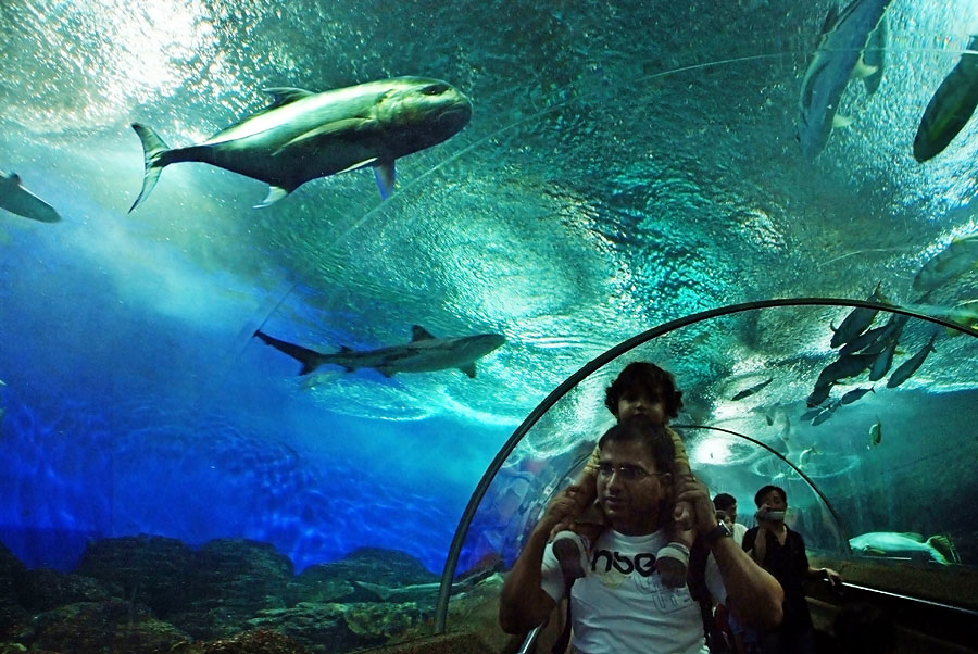 Океанариум Underwater World , Сингапур, Азия