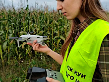 Подмосковье усилило контроль за использованием земель с помощью цифровых технологий