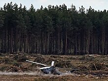 Частный вертолет потерпел крушение в российском регионе