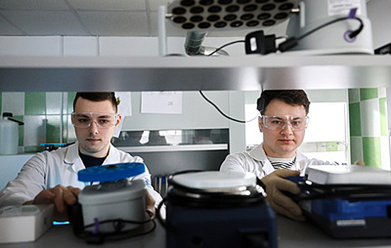 В России открыли пористые материалы для применения в строительстве и медицине