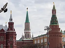 Охраняющие Кремль от ворон хищные птицы переехали