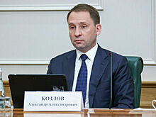 Профильный комитет Госдумы проведет встречу с главой Минприроды