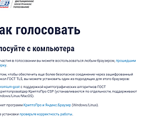 Известные жители Новосибирской области объясняют выбор дистанционного способа голосования удобством процедуры
