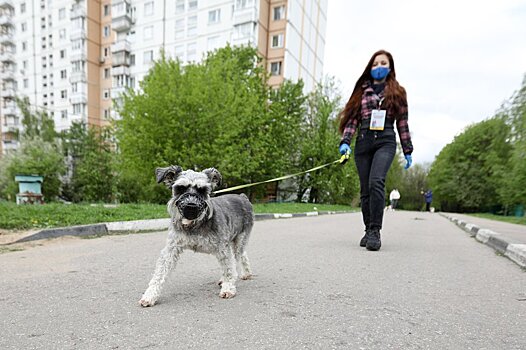 Эксперт заявила об отсутствии доказательств распространения коронавируса животными