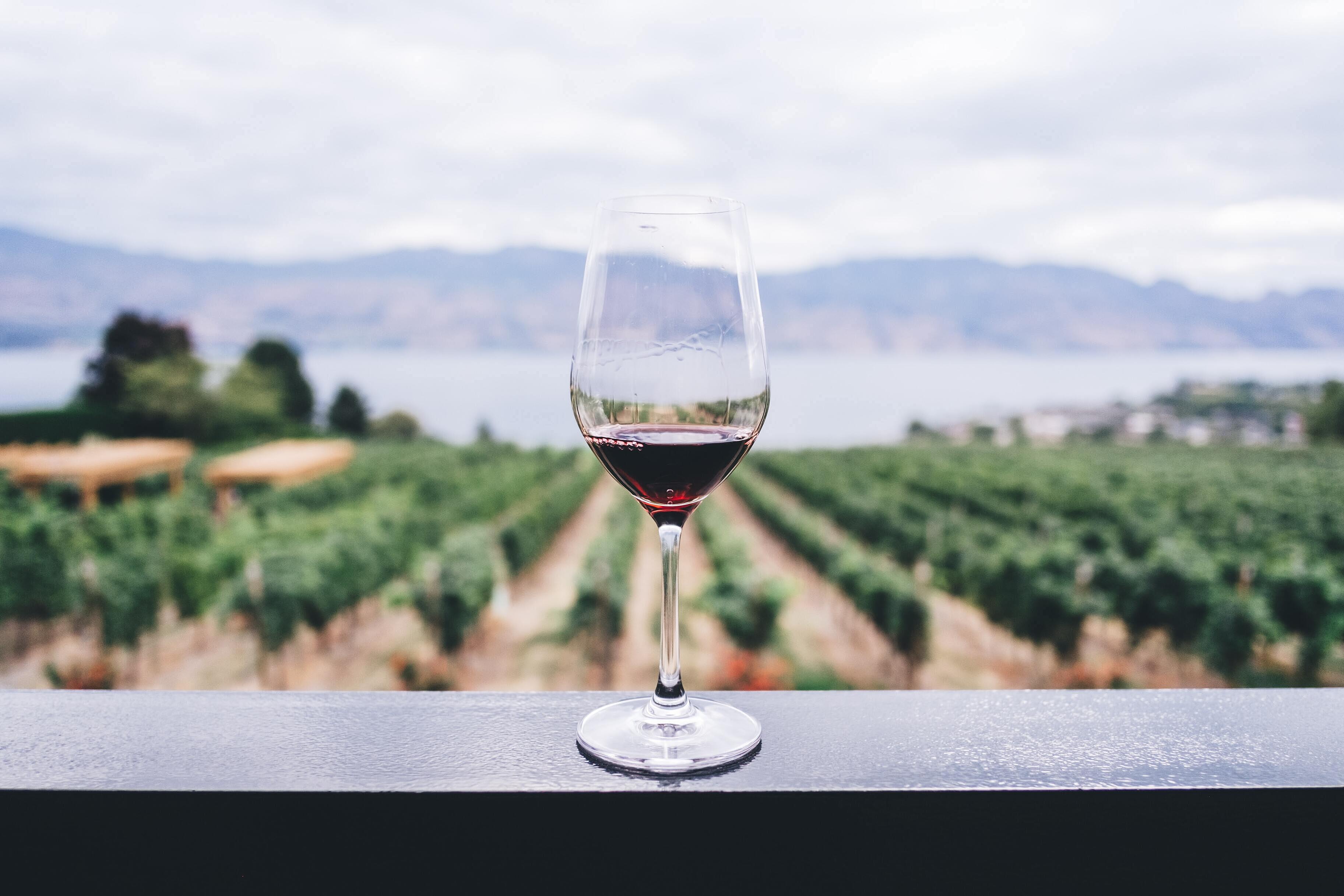 5 признаков, что вам следует немедленно прекратить пить вино