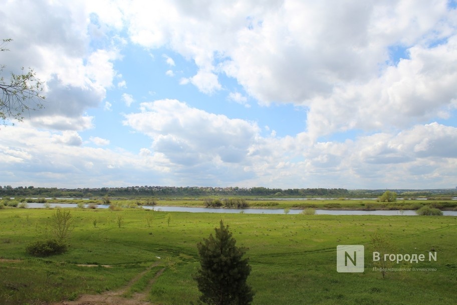 Национальный парк «Нижегородское Поволжье» займет 65 тысяч га