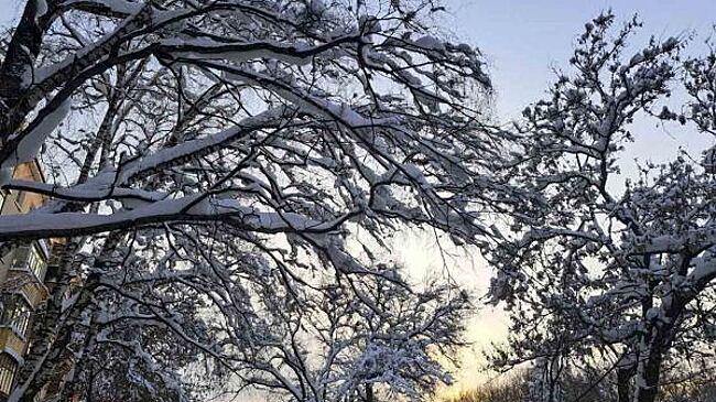 На выходных в ХМАО вновь похолодает до -39 градусов