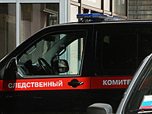 СК объяснил активность живодерок из Хабаровска в соцсетях