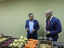 Глава региона Вячеслав Федорищев посетил ведущие сельхозпредприятия Безенчука