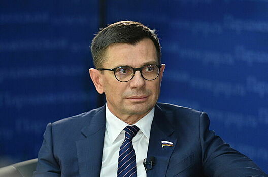 Депутат Антропенко призвал не распространять на многодетных родителей запрет передачи SIM-карт