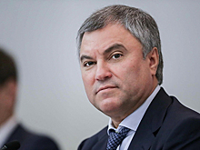 Володин обсудил с губернатором Тамбовской области голосование по поправкам и реализацию нацпроектов