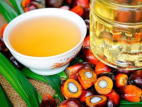 В России могут ограничить использование пальмового масла в детском питании