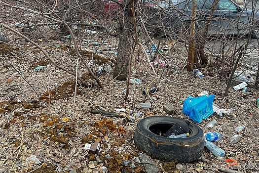 "Слой, как на свалке": екатеринбурженка пожаловалась на кучи мусора рядом со школой и больницей