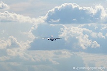 Авиакомпании отменили около 85% рейсов в Симферополь