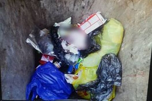 Тело младенца нашли в мусорном баке в Усолье-Сибирском