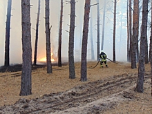 Пожарные тушат возгорания в лесах России на площади более 1 млн га