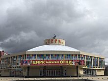 В Рязани из-за коронавируса застряли цирковые животные и артисты