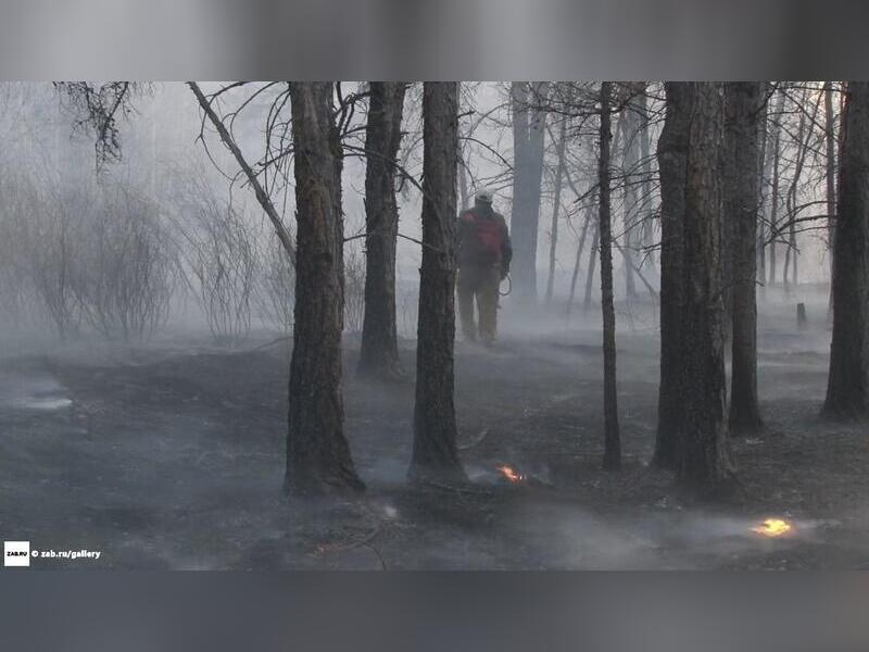 В Забайкалье действуют 19 лесных пожаров