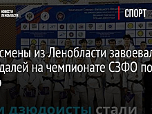 Спортсмены из Ленобласти завоевали 25 медалей на чемпионате СЗФО по дзюдо
