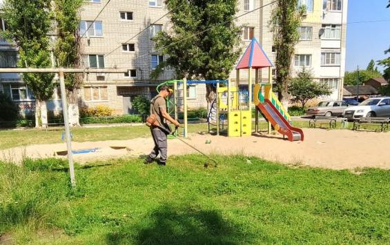 В Курске проверили более 150 дворов: выявлено 19 нарушений