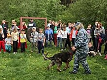 В Центре кинологической службы Зеленограда отпраздновали День защиты детей
