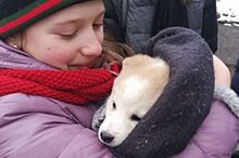 Глава МВД Северной Осетии подарил детям щенка лайки вместо убитой дворняги