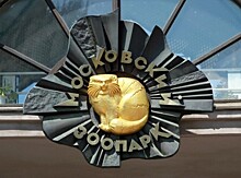 Строительство нового пешеходного моста в Московском зоопарке начнется в 2018 г.