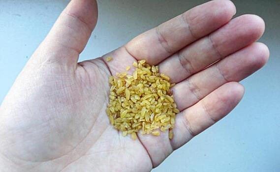 В Курской области за 10 месяцев 2023 года выявили почти 55 тонн некачественного зерна