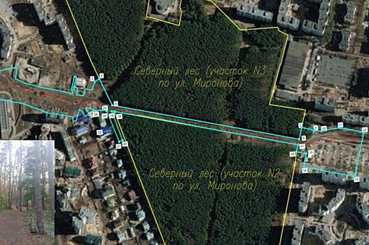 Строительство дублера Московского проспекта в Воронеже не заставит вырубать лес
