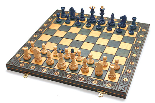Воспитанники школы имени М.М. Ботвинника выиграла шахматный турнир