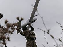 В Совфеде обвинили ВСУ в ударах по жилым домам на Украине