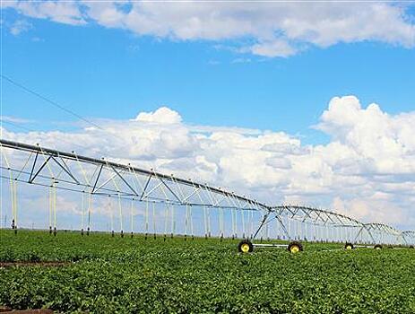 В 2023 г. в Самарской области увеличатся орошаемые площади