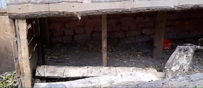 Неизвестные разгромили центр реабилитации птиц в Кемерове